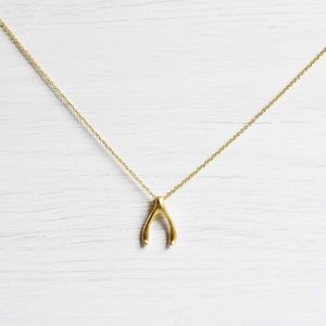 Tiny Delicate Wishbone Necklace